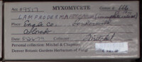 Image Associated With the Occurence